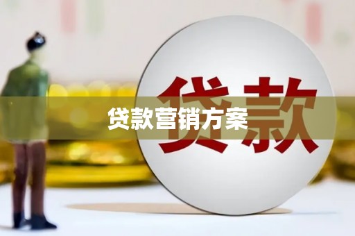 丰顺贷款营销方案