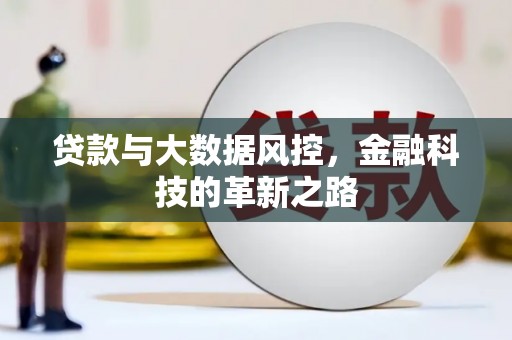 丰顺贷款与大数据风控，金融科技的革新之路