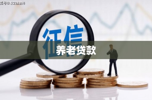 丰顺养老贷款