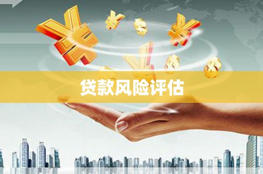 丰顺贷款风险评估
