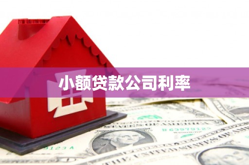 丰顺小额贷款公司利率