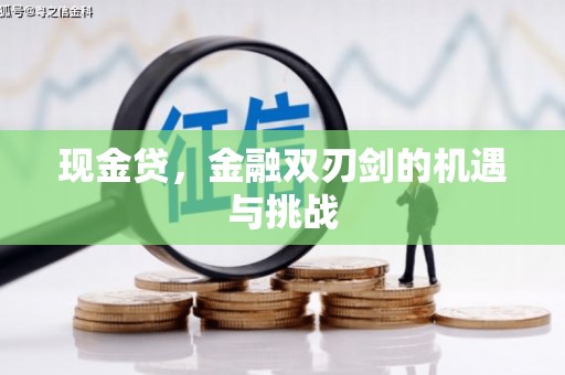 丰顺现金贷，金融双刃剑的机遇与挑战