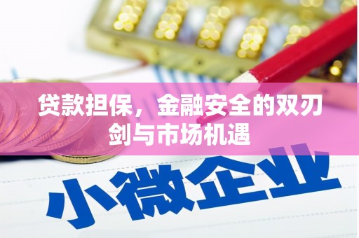 丰顺贷款担保，金融安全的双刃剑与市场机遇