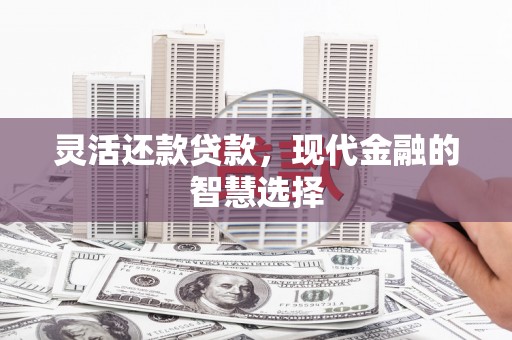 丰顺灵活还款贷款，现代金融的智慧选择