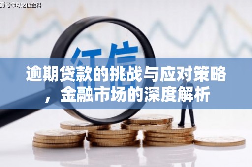 丰顺逾期贷款的挑战与应对策略，金融市场的深度解析