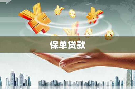 丰顺保单贷款