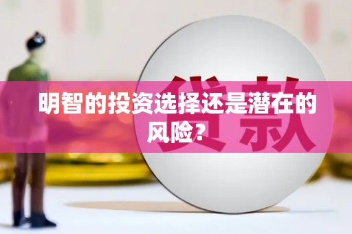 丰顺明智的投资选择还是潜在的风险？