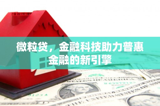 丰顺微粒贷，金融科技助力普惠金融的新引擎