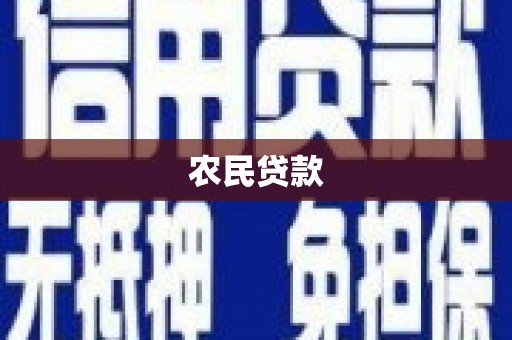丰顺农民贷款