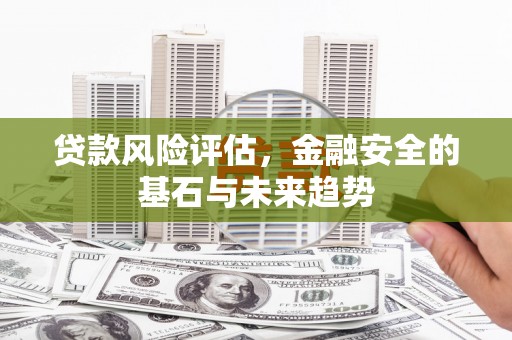 丰顺贷款风险评估，金融安全的基石与未来趋势