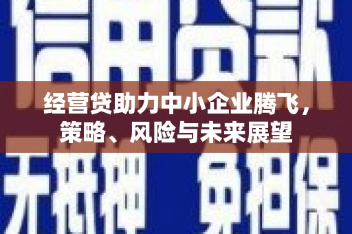 丰顺经营贷助力中小企业腾飞，策略、风险与未来展望