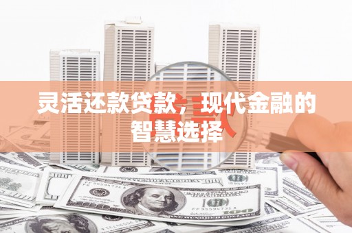 丰顺灵活还款贷款，现代金融的智慧选择