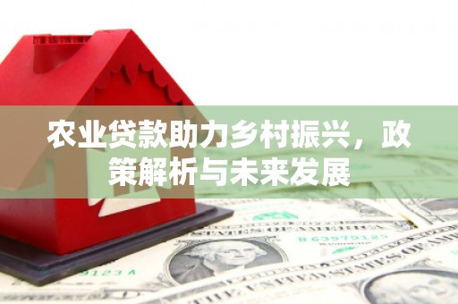 丰顺农业贷款助力乡村振兴，政策解析与未来发展