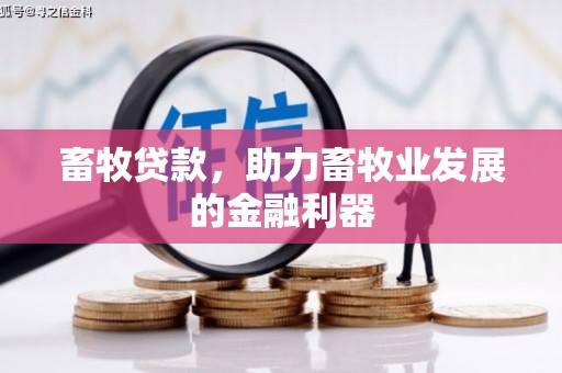 丰顺畜牧贷款，助力畜牧业发展的金融利器