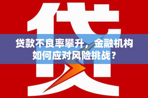 丰顺贷款不良率攀升，金融机构如何应对风险挑战？