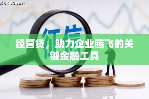 丰顺经营贷，助力企业腾飞的关键金融工具