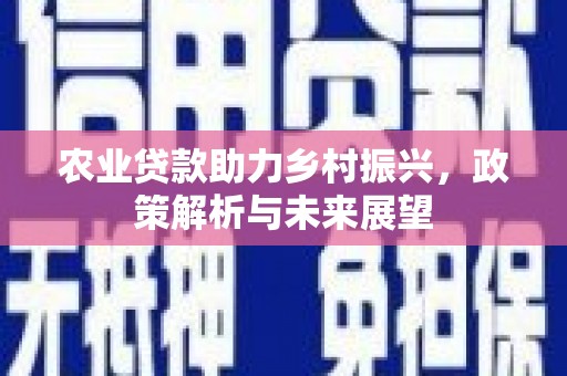 丰顺农业贷款助力乡村振兴，政策解析与未来展望