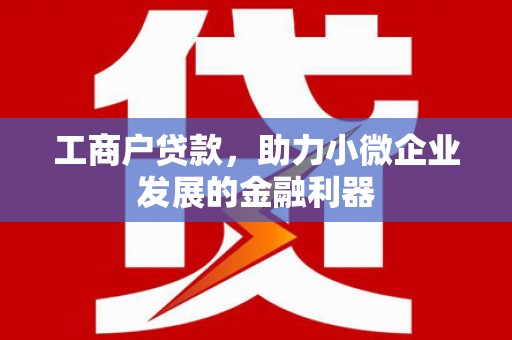 丰顺工商户贷款，助力小微企业发展的金融利器