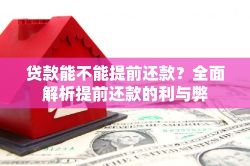 丰顺贷款能不能提前还款？全面解析提前还款的利与弊