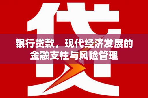 丰顺银行贷款，现代经济发展的金融支柱与风险管理