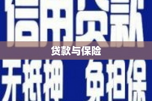 丰顺贷款与保险