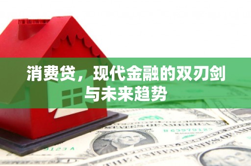 丰顺消费贷，现代金融的双刃剑与未来趋势
