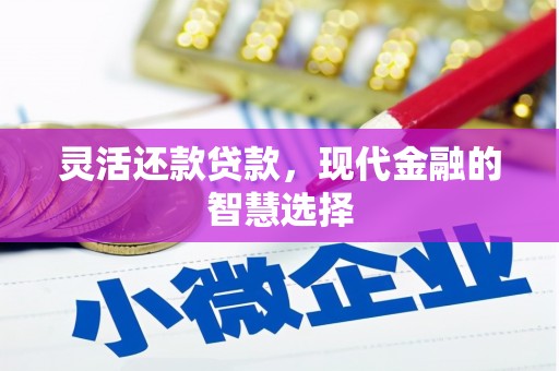 丰顺灵活还款贷款，现代金融的智慧选择