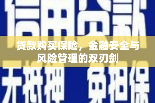 丰顺贷款购买保险，金融安全与风险管理的双刃剑