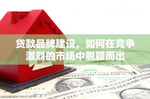 丰顺贷款品牌建设，如何在竞争激烈的市场中脱颖而出