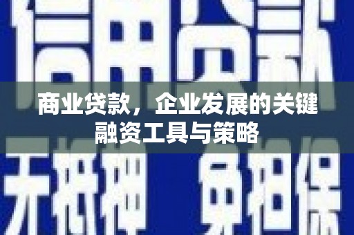 丰顺商业贷款，企业发展的关键融资工具与策略