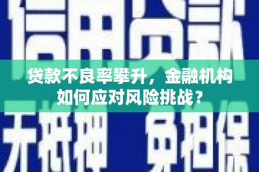 丰顺贷款不良率攀升，金融机构如何应对风险挑战？