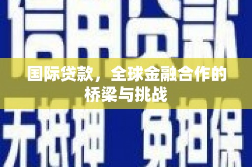 丰顺国际贷款，全球金融合作的桥梁与挑战