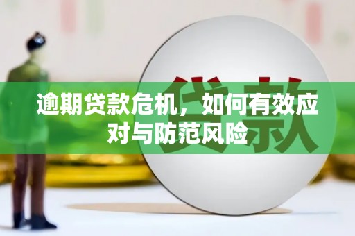 丰顺逾期贷款危机，如何有效应对与防范风险