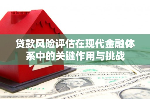 丰顺贷款风险评估在现代金融体系中的关键作用与挑战