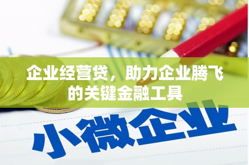 丰顺企业经营贷，助力企业腾飞的关键金融工具