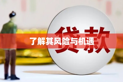 丰顺了解其风险与机遇