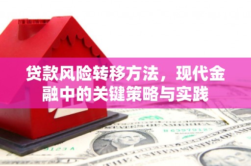 丰顺贷款风险转移方法，现代金融中的关键策略与实践