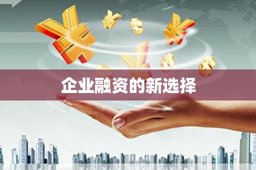 丰顺企业融资的新选择