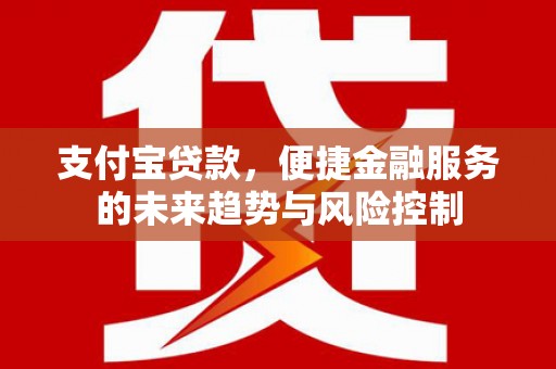 丰顺支付宝贷款，便捷金融服务的未来趋势与风险控制