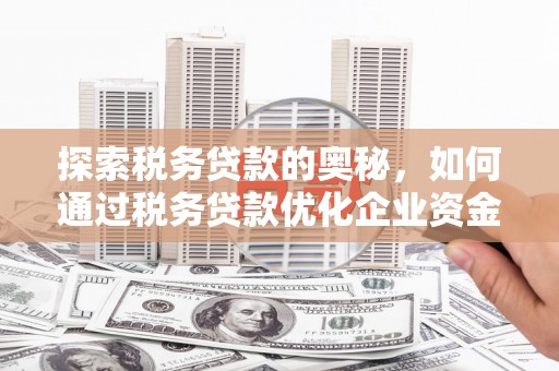丰顺探索税务贷款的奥秘，如何通过税务贷款优化企业资金流