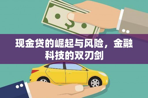 丰顺现金贷的崛起与风险，金融科技的双刃剑