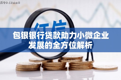 丰顺包银银行贷款助力小微企业发展的全方位解析