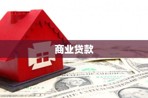 丰顺商业贷款