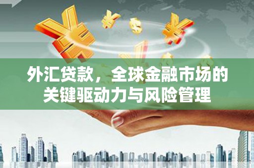 丰顺外汇贷款，全球金融市场的关键驱动力与风险管理