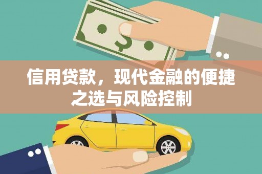丰顺信用贷款，现代金融的便捷之选与风险控制