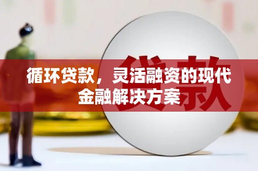 丰顺循环贷款，灵活融资的现代金融解决方案