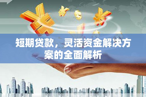 丰顺短期贷款，灵活资金解决方案的全面解析