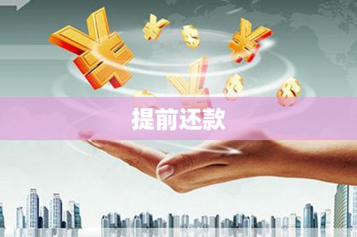 丰顺提前还款