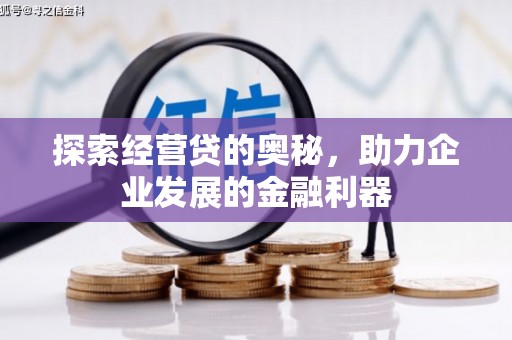 丰顺探索经营贷的奥秘，助力企业发展的金融利器