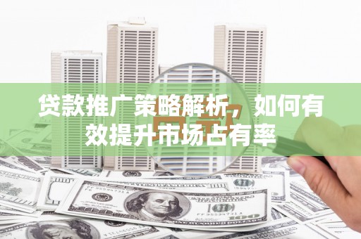 丰顺贷款推广策略解析，如何有效提升市场占有率